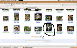 google1